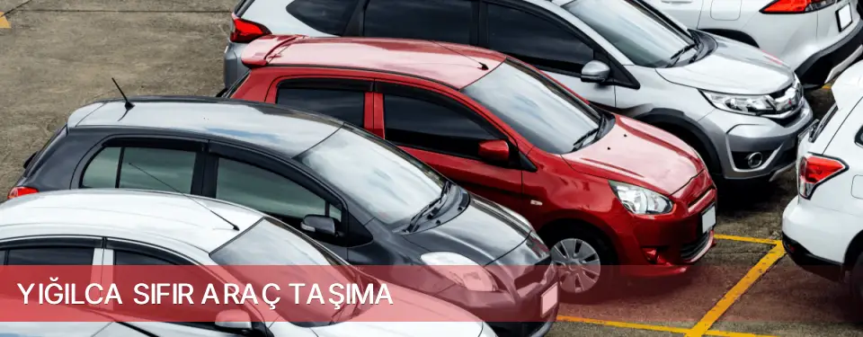 Yığılca İlçemi Sıfır Araç Taşıma